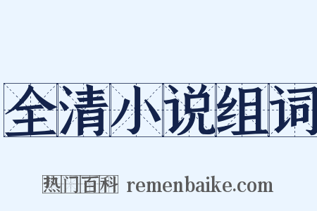 全清小说组词是什么意思的图片